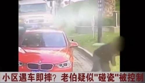 老伯碰瓷爆料视频播放下载,揭秘事件真相与下载攻略